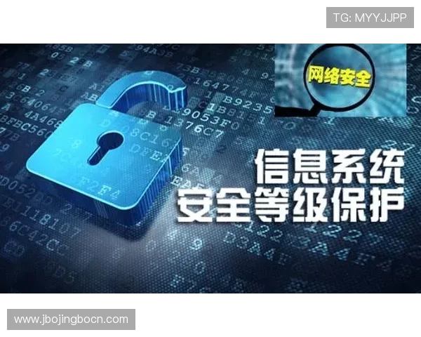 开云体育在线入口安全验证流程，保障用户账号信息安全与隐私保护